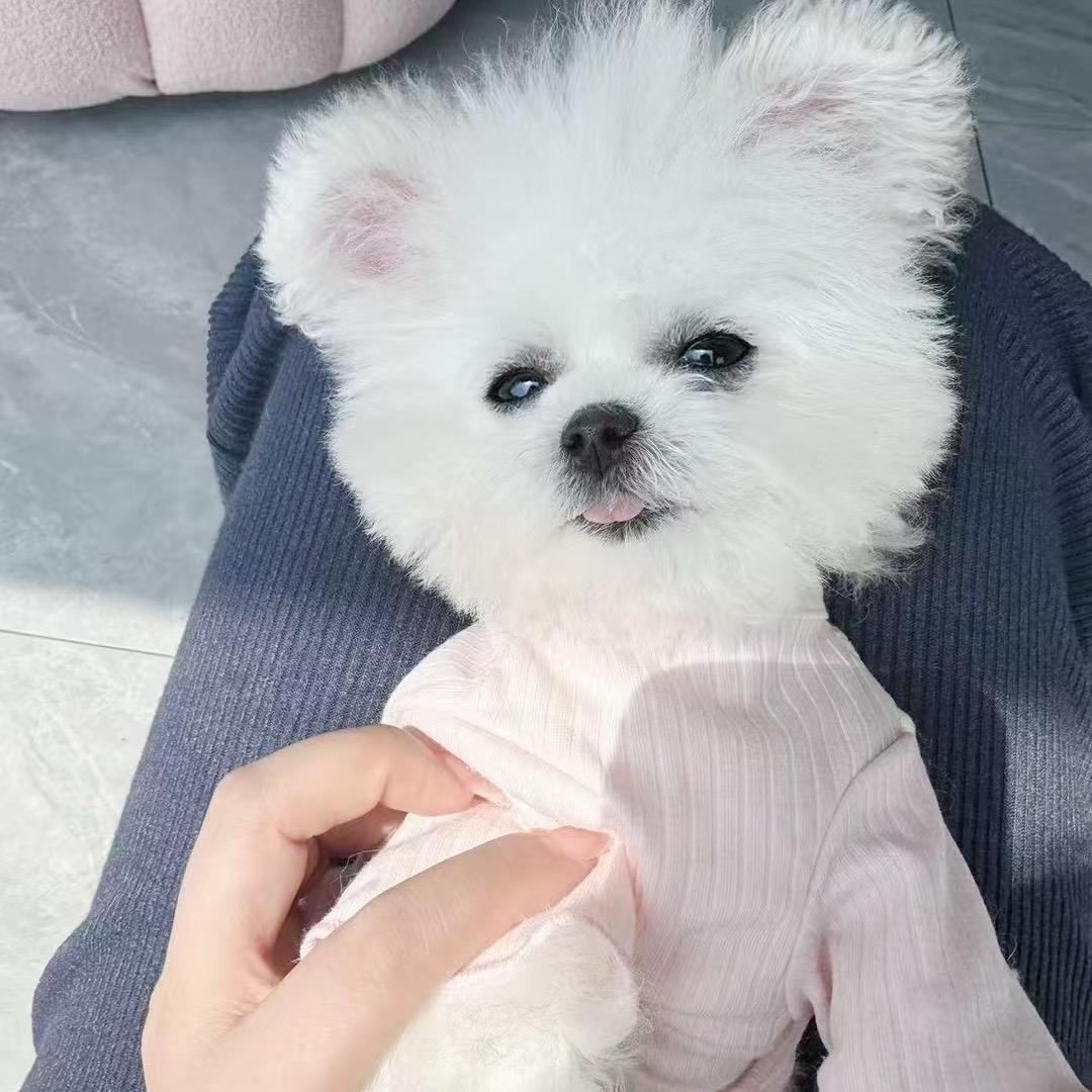 萌萌小公主