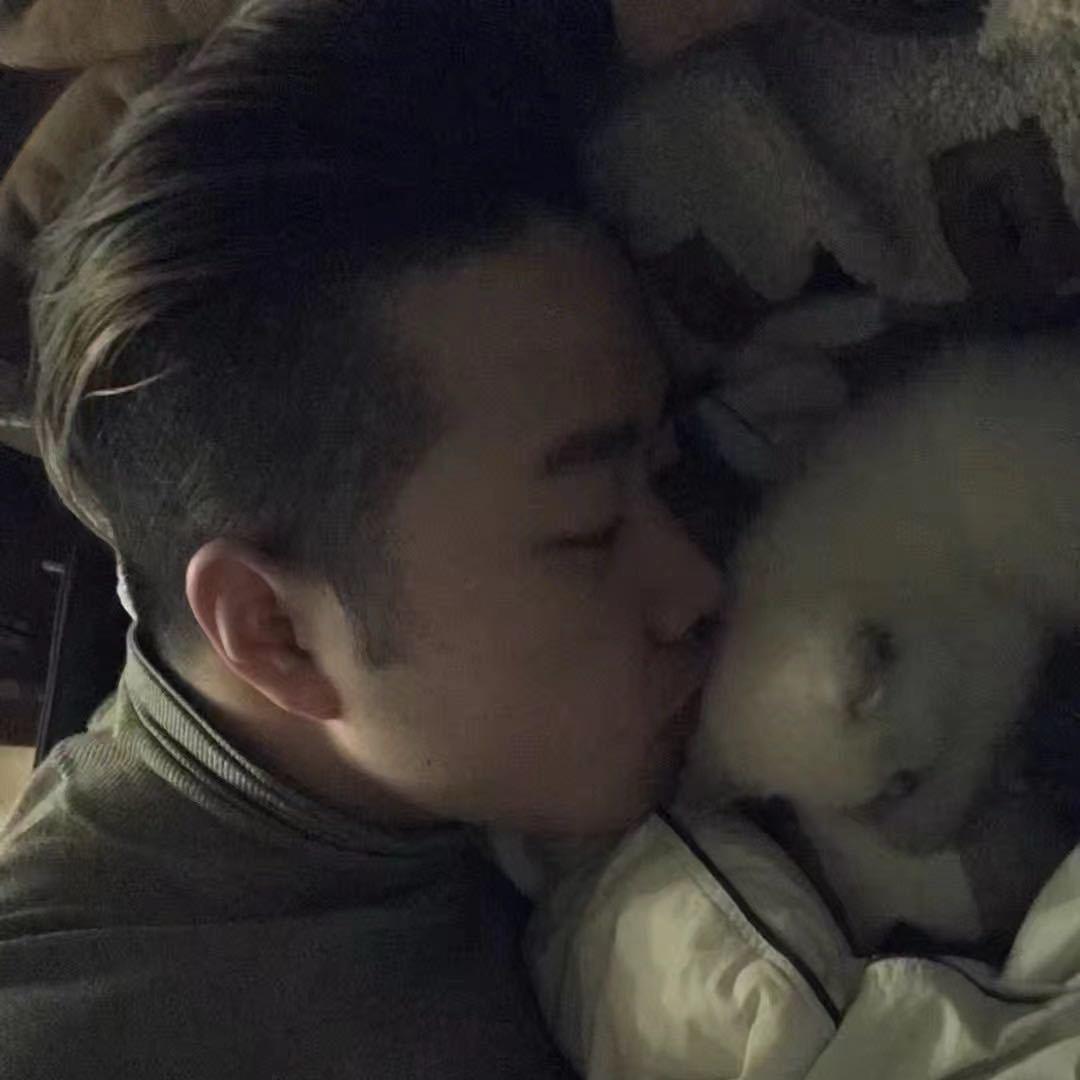 爱喝冰美式的猫