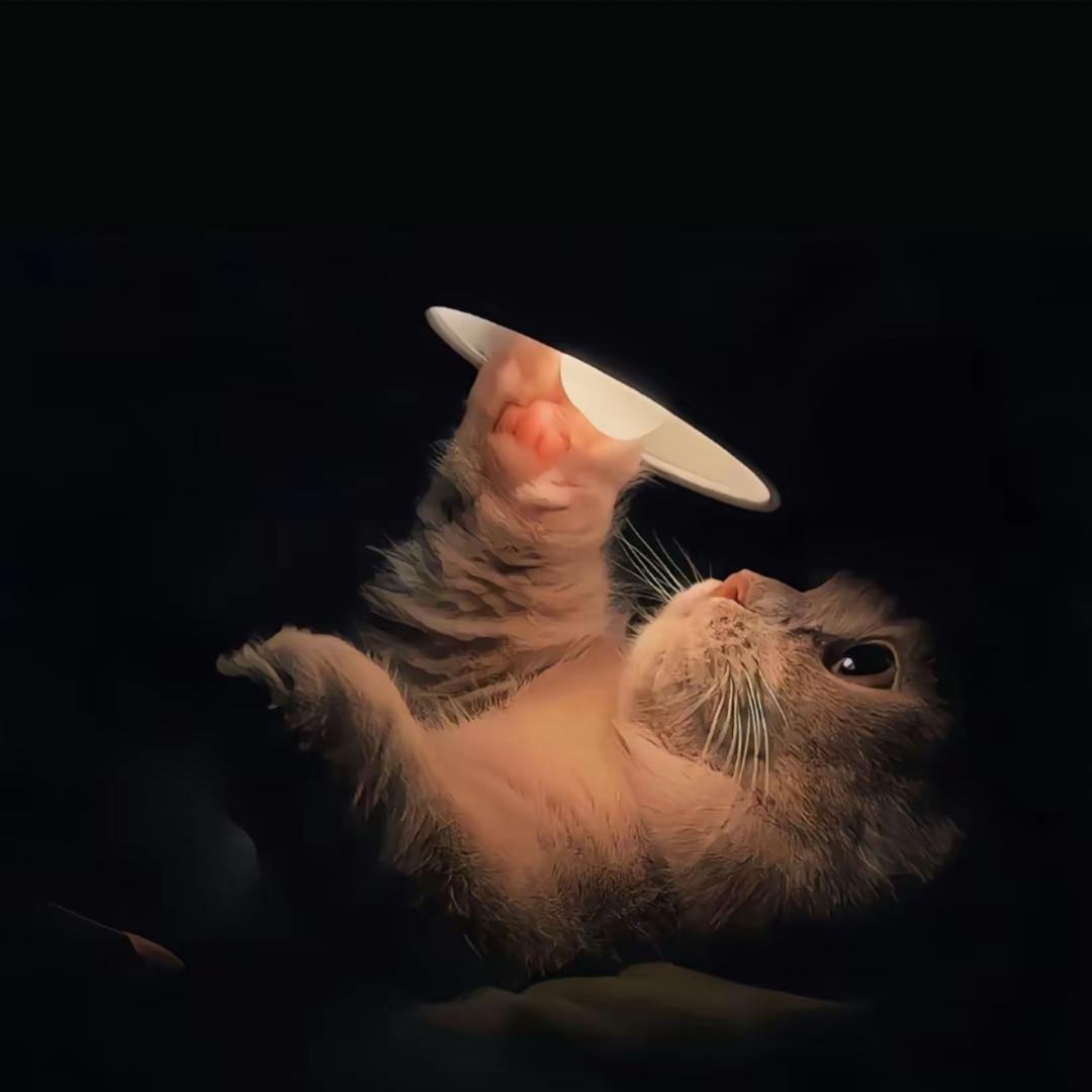 强哥_