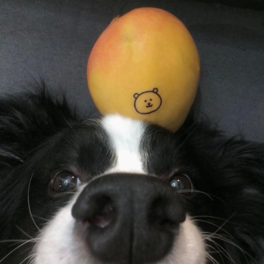 鑫⁷