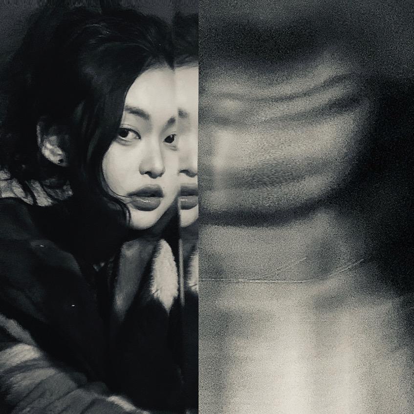 羅菲鱼