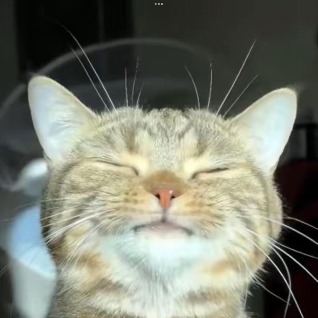 冰．