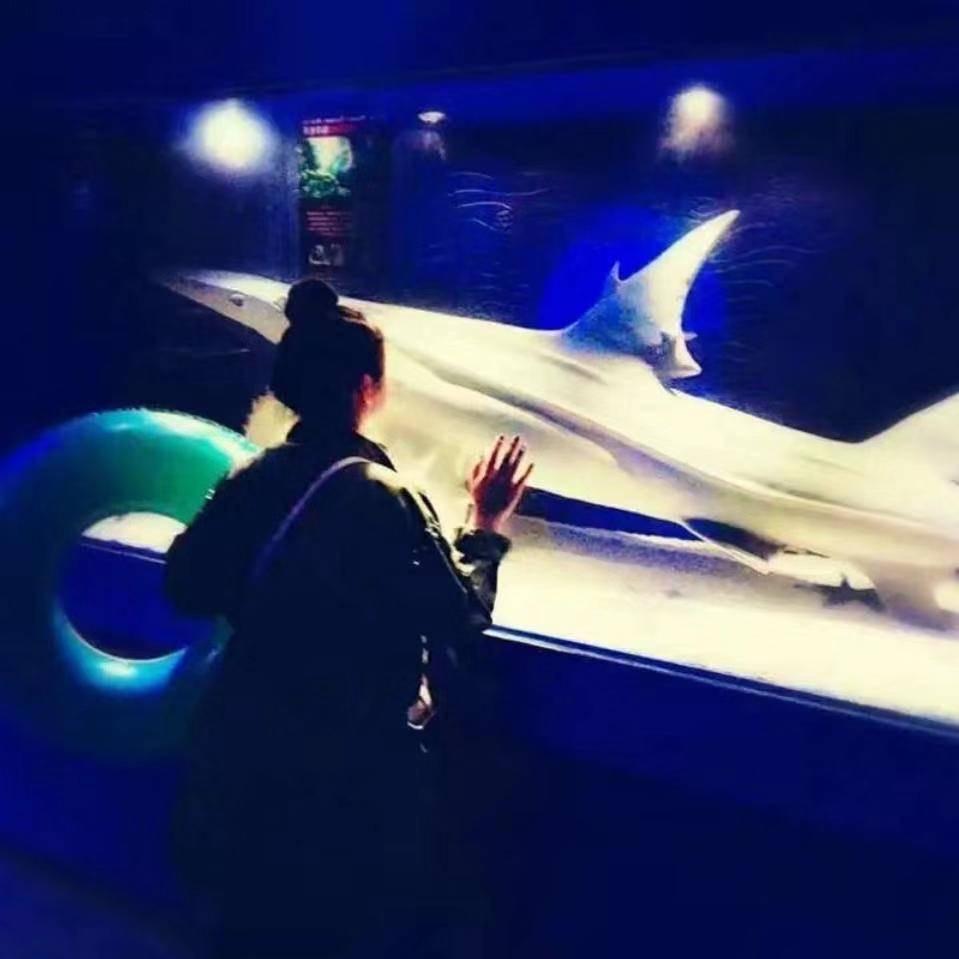 小龙冰!