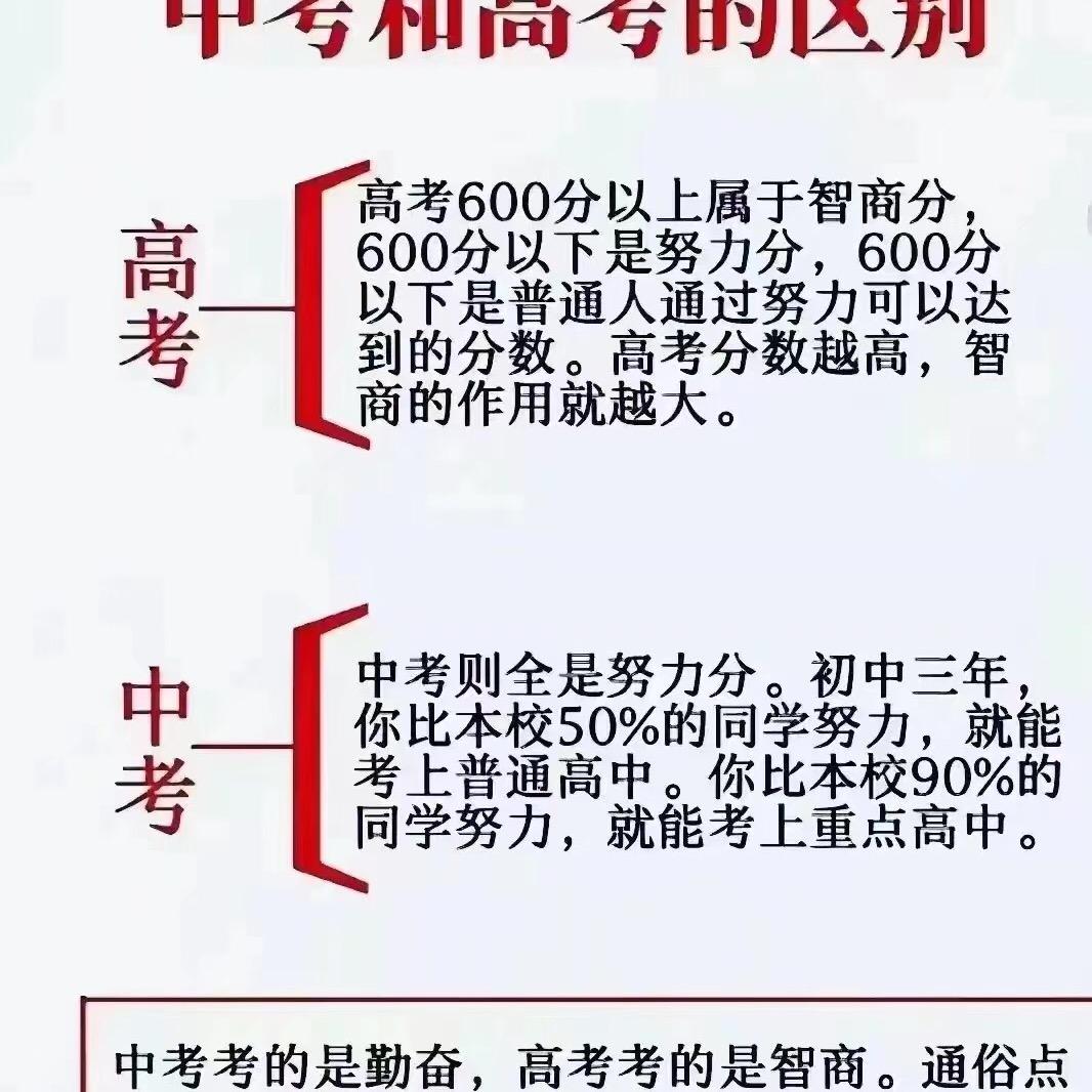 睿康主理人vv老师    一对一/ 全托
