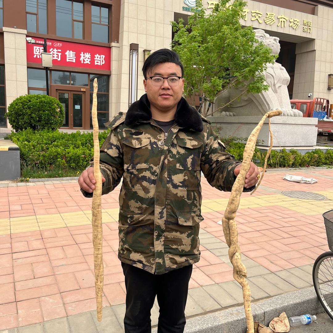 中药材里的事儿～郑印