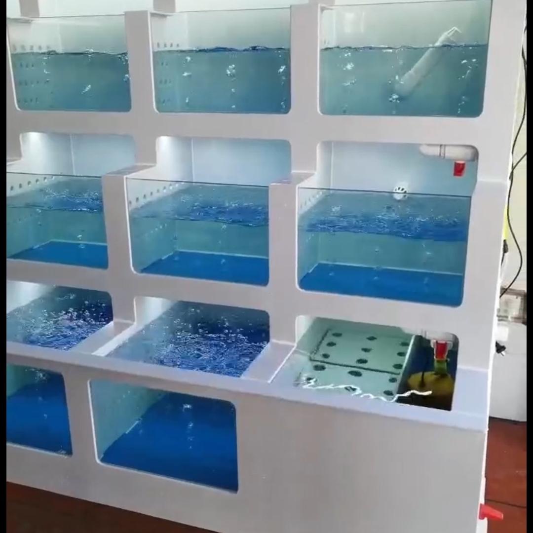 钓鱼岛烤活鱼汕头第二好食