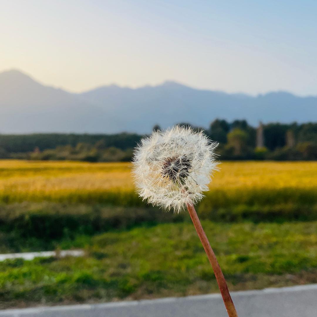 游山水之间