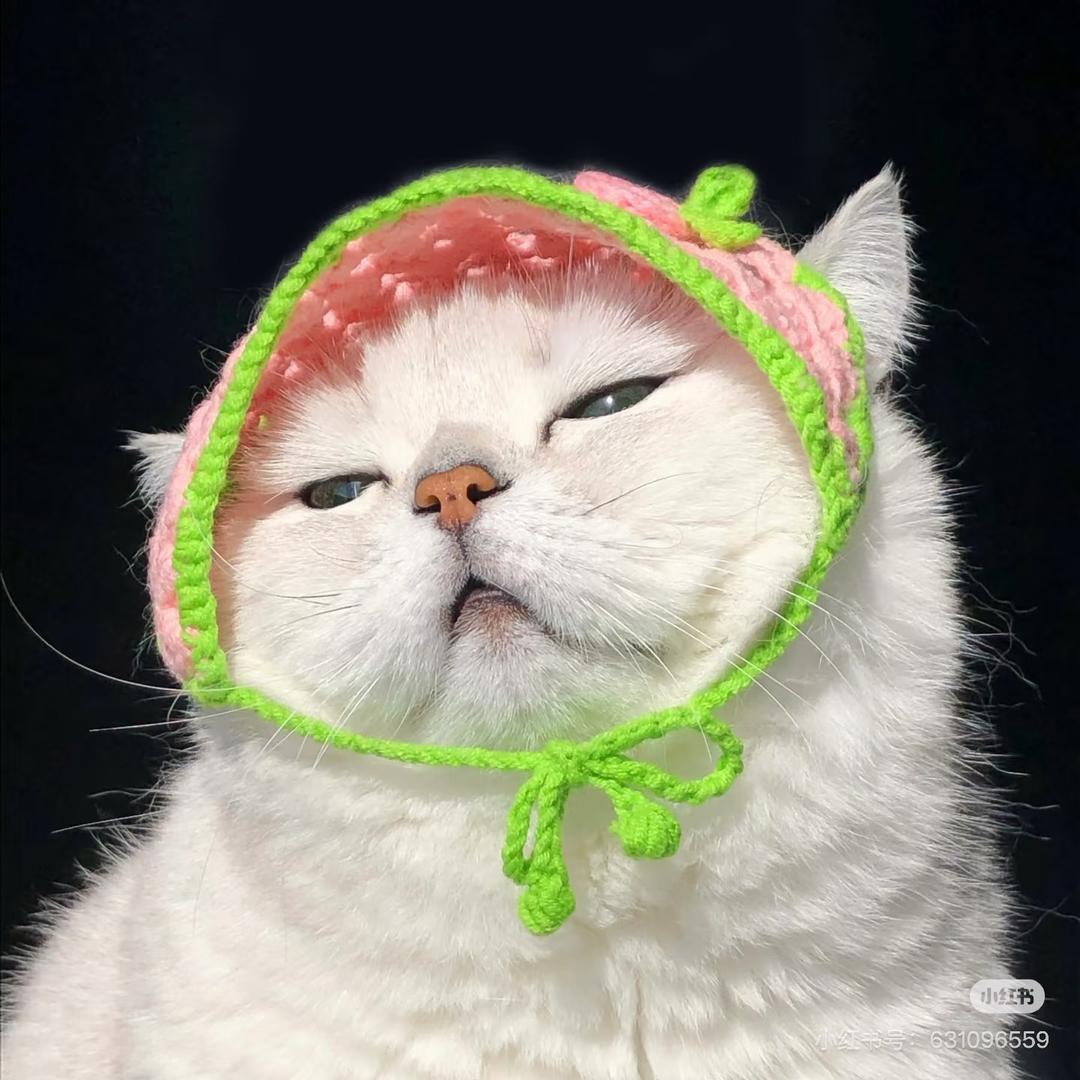 🌟官官莞尔咻～