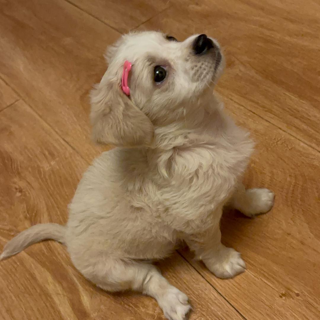 我是豆芽儿