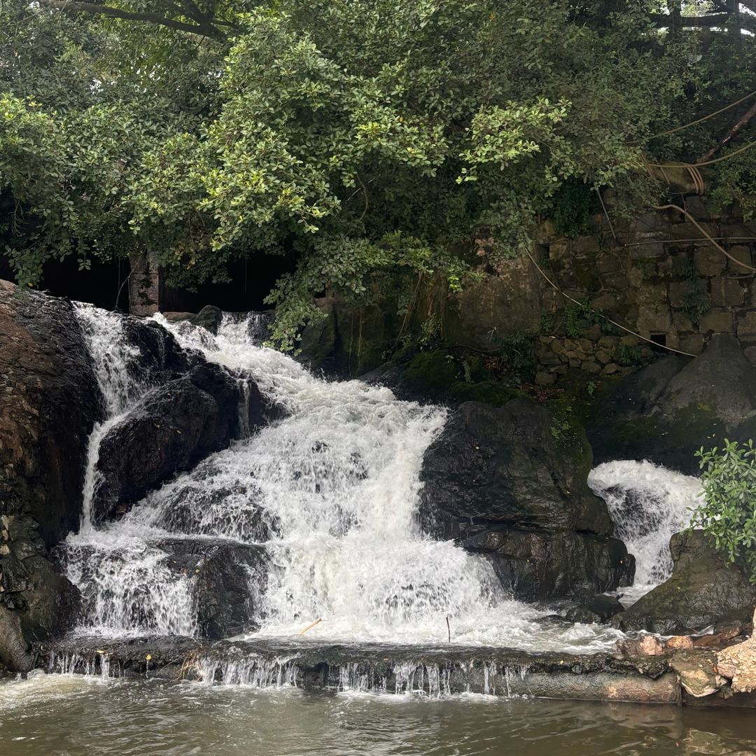 ʃƪू时光❀不语ૅω