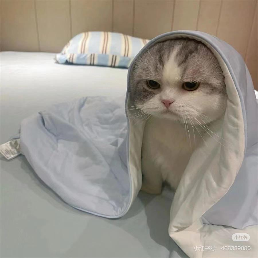 没脾气