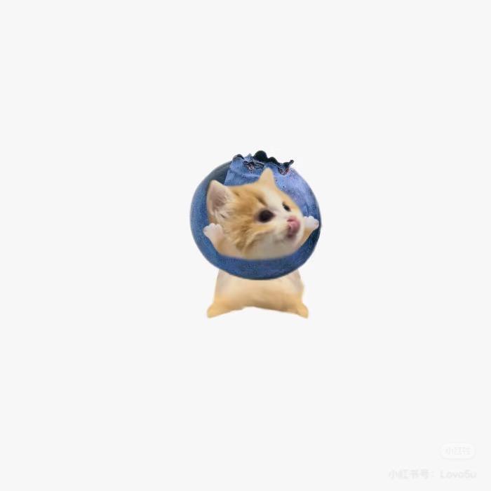 ％磕学家🐥％