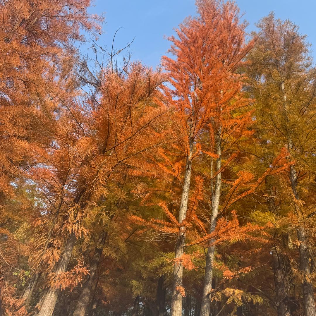 （W .M）女装🍂秋款上新