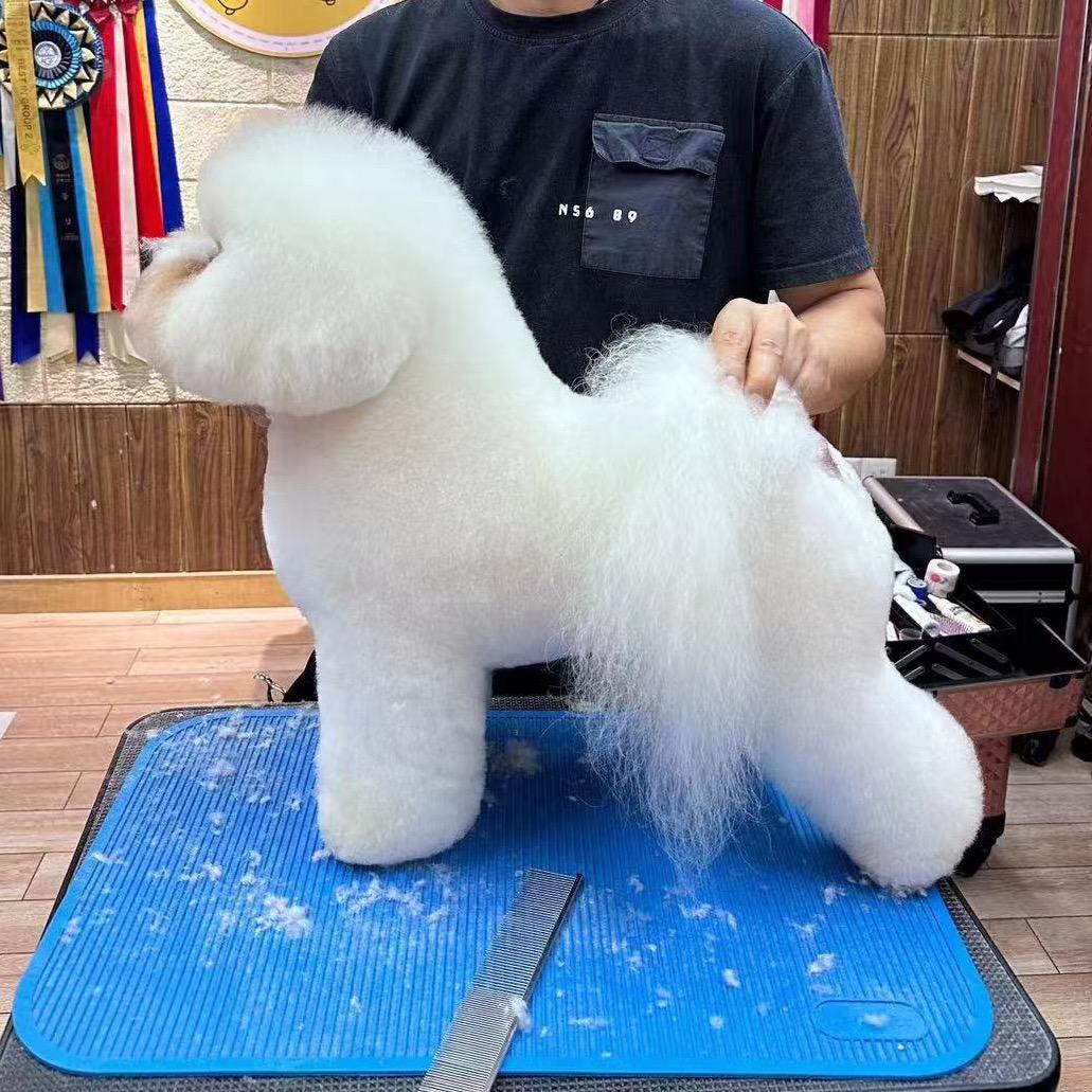 佳佳家的熊娃们