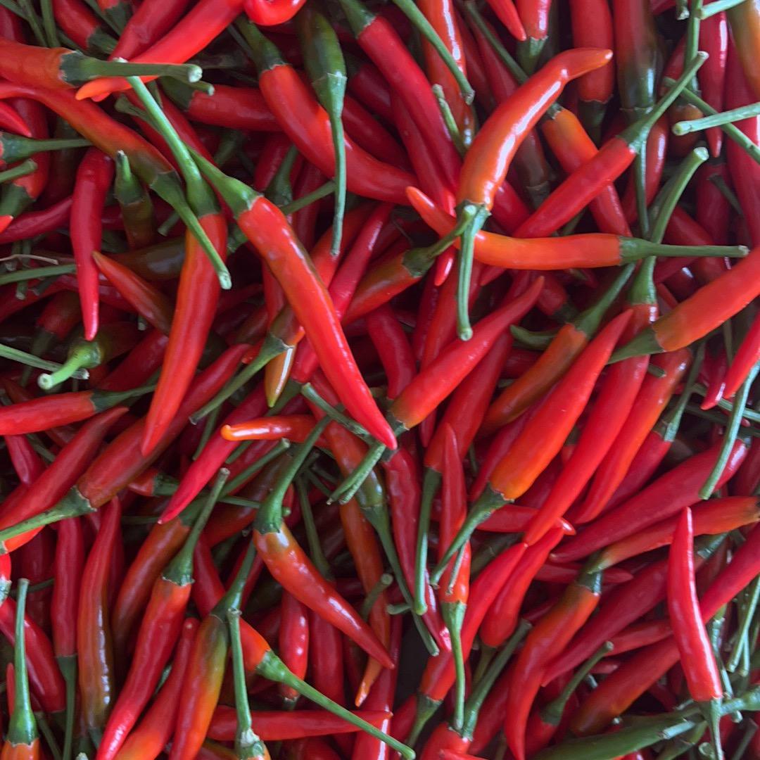 90后的辣椒罗仔