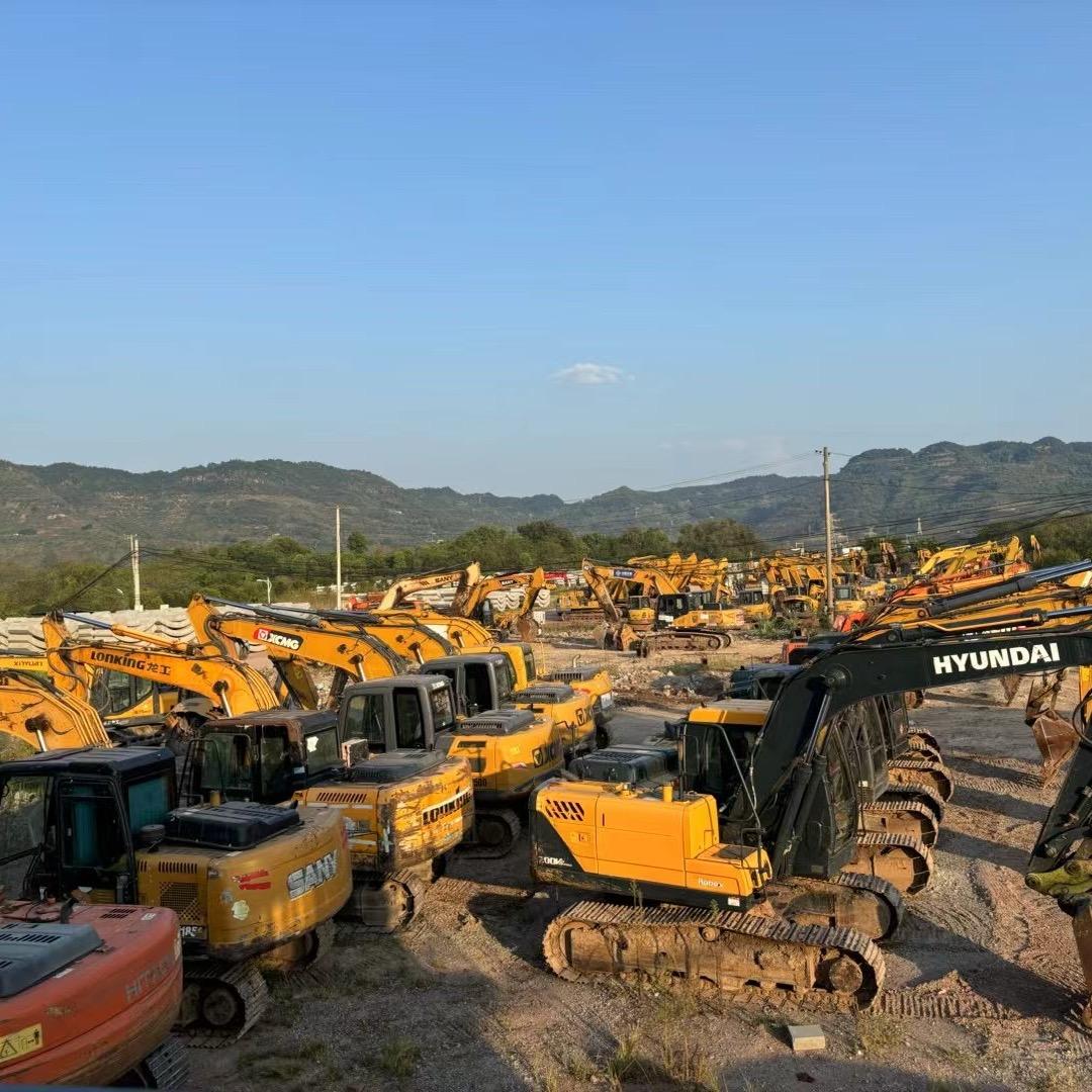 卖挖挖机的肥霸