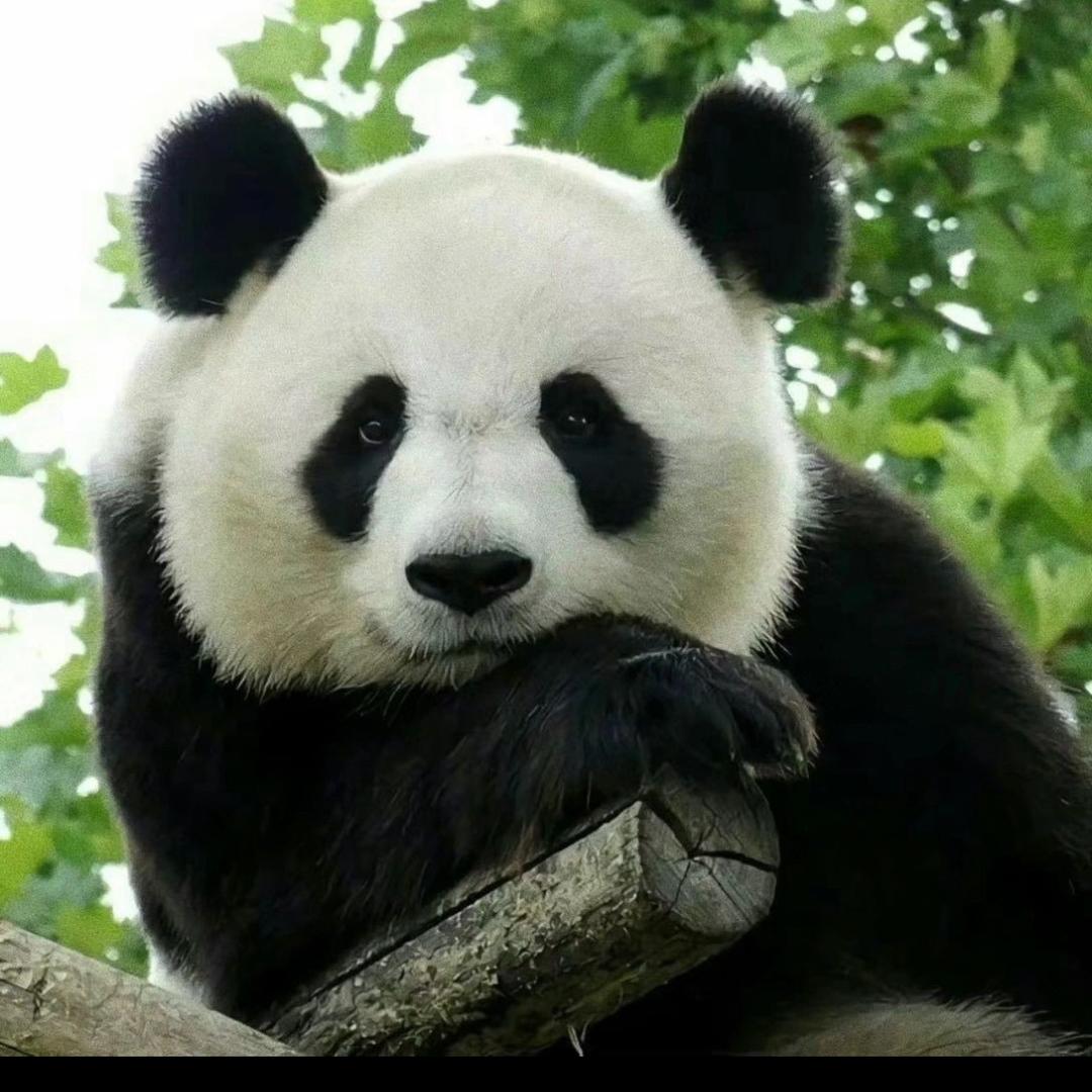得闲饮茶咯
