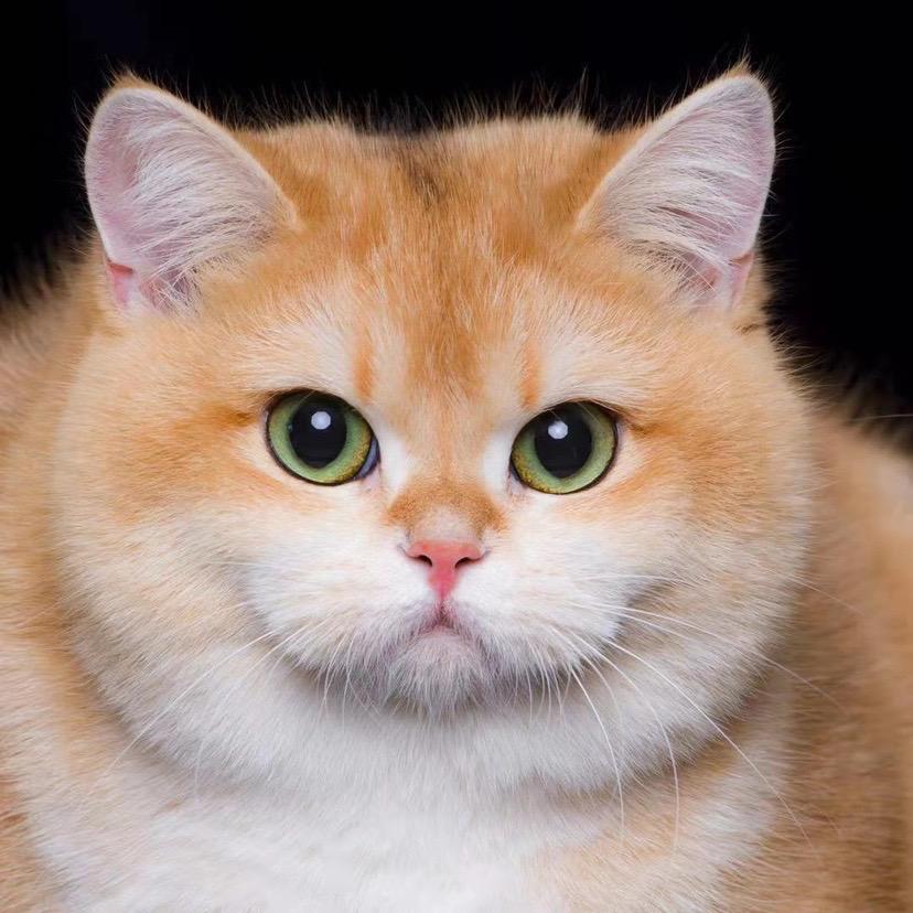 祥麟宠物会所官方号