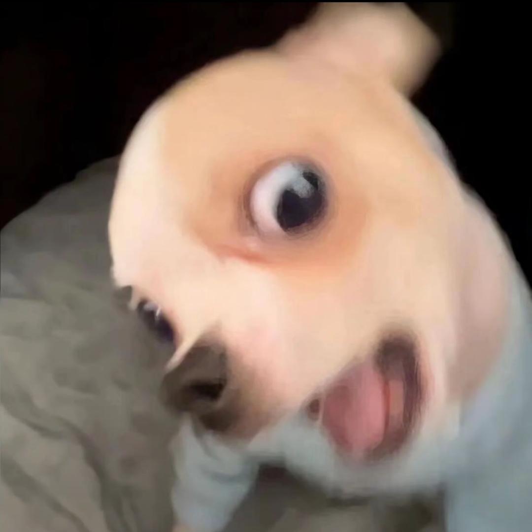 别打扰我吃饭🍽️