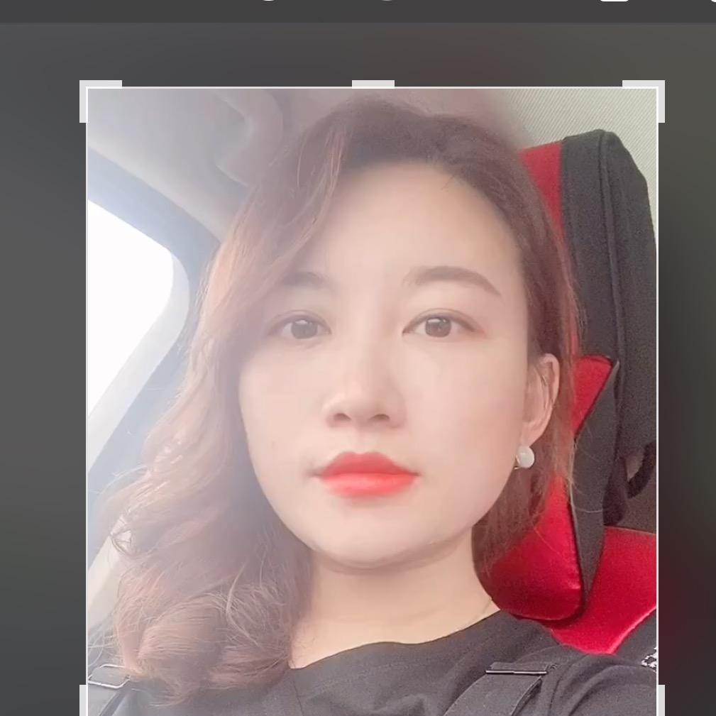 晓晓芹