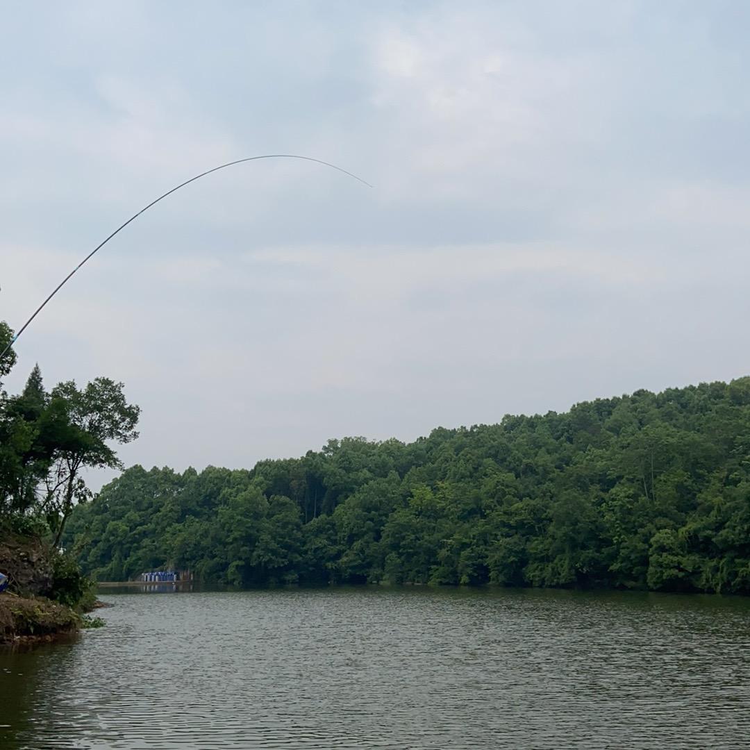 宜昌金银岗水库家庭农场