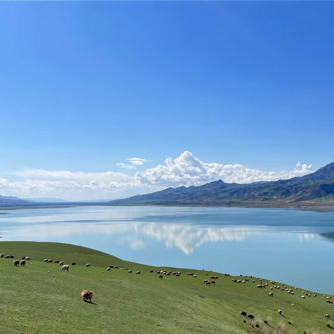 矿山贸易小罗