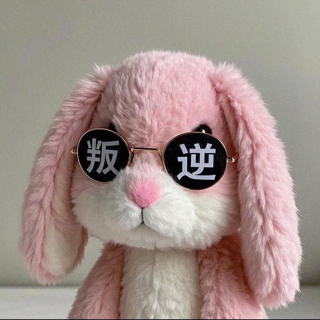 阿青吖（努力成为三角洲糕手版）