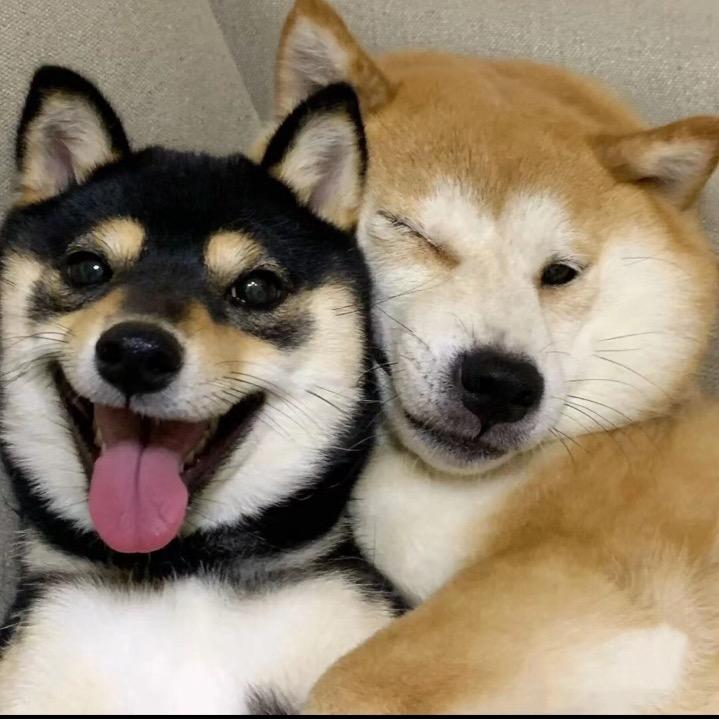可乐加冰🧊