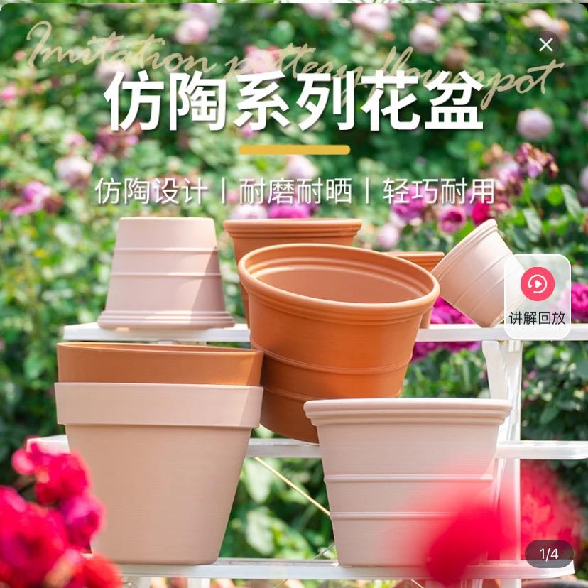 夏宸园艺