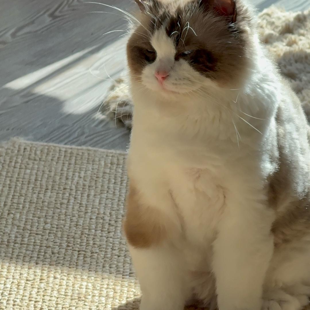 阿一家魑魅魍魉