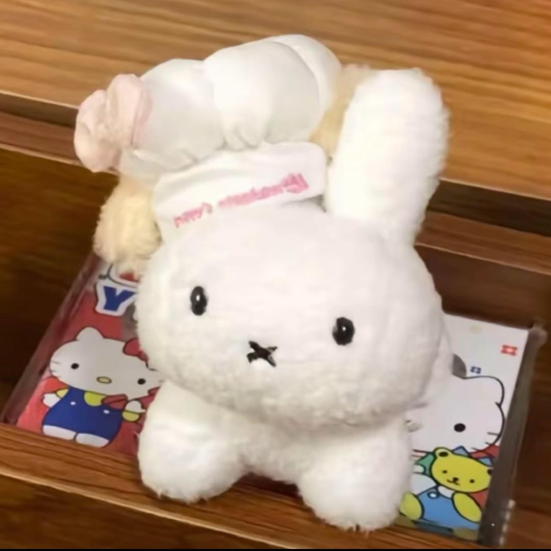 我是迪迪子