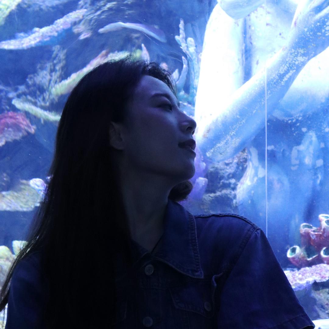 世界上没有草莓