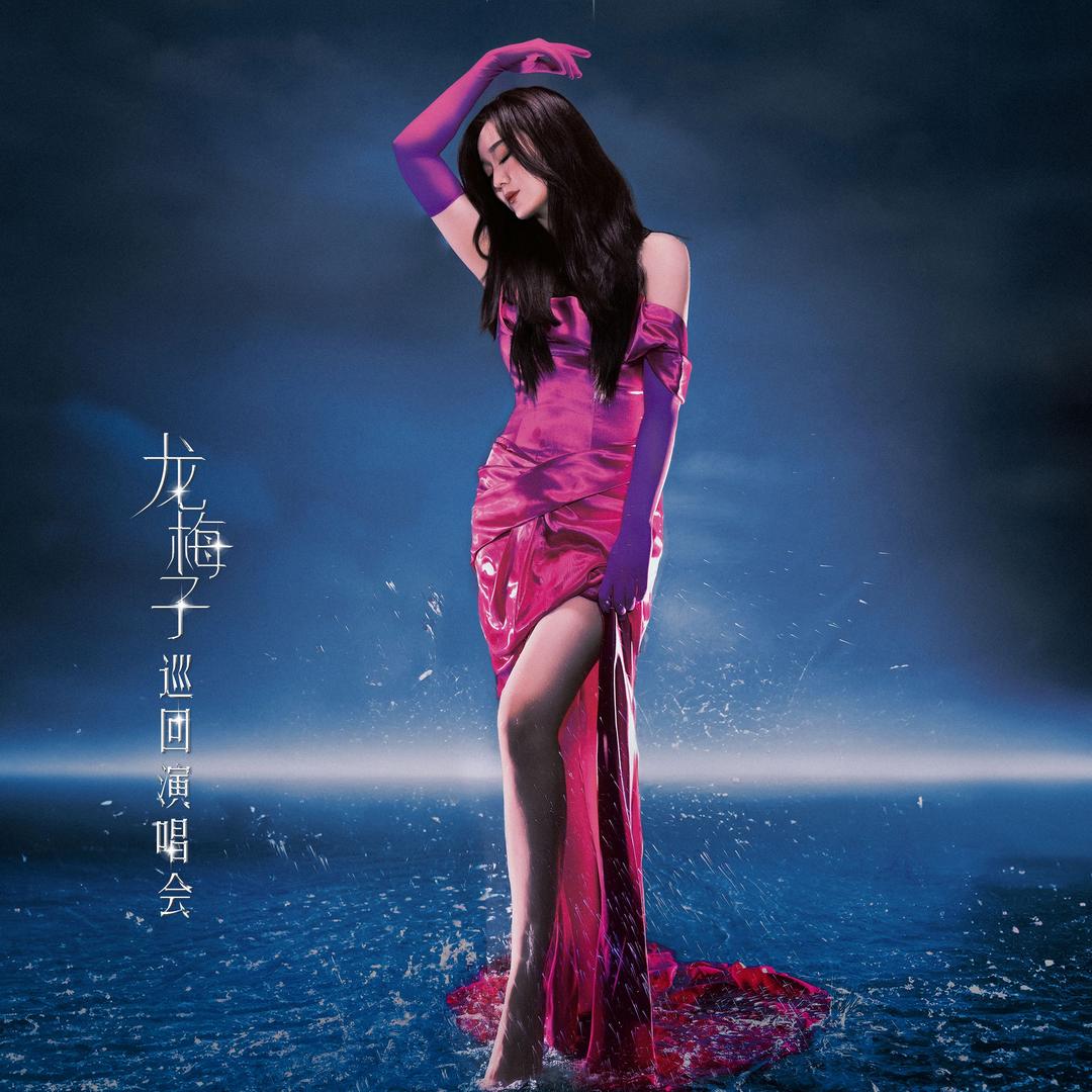 龙梅子