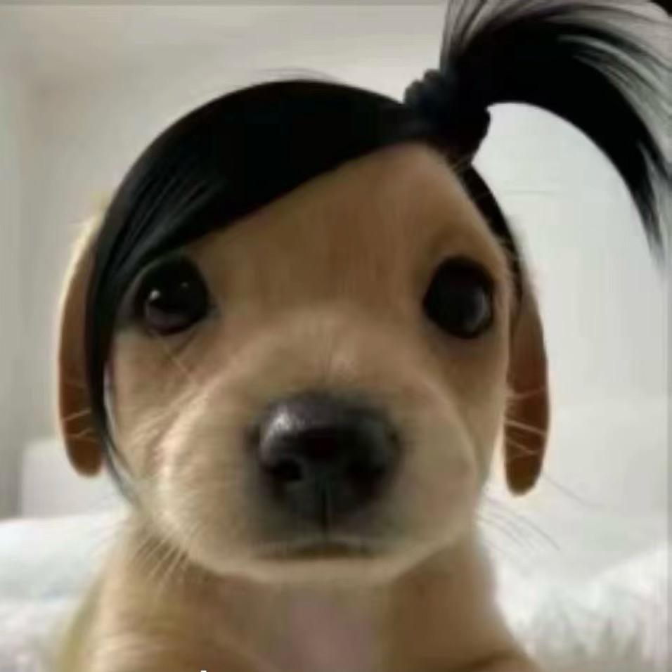 L: