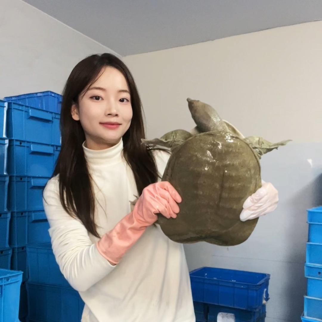 丽丽甲鱼精选