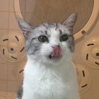 辣条辣辣子