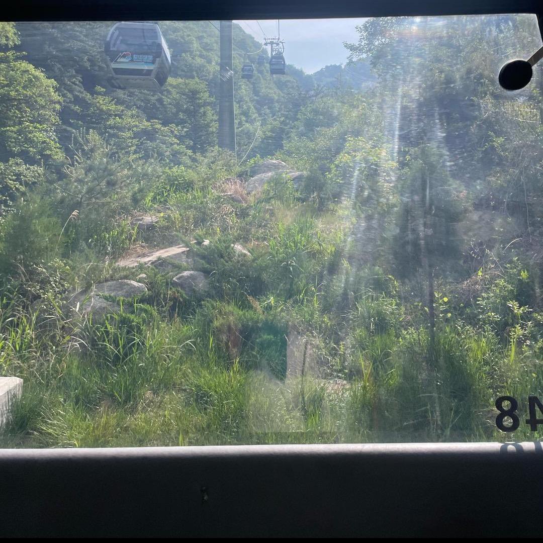 阳光