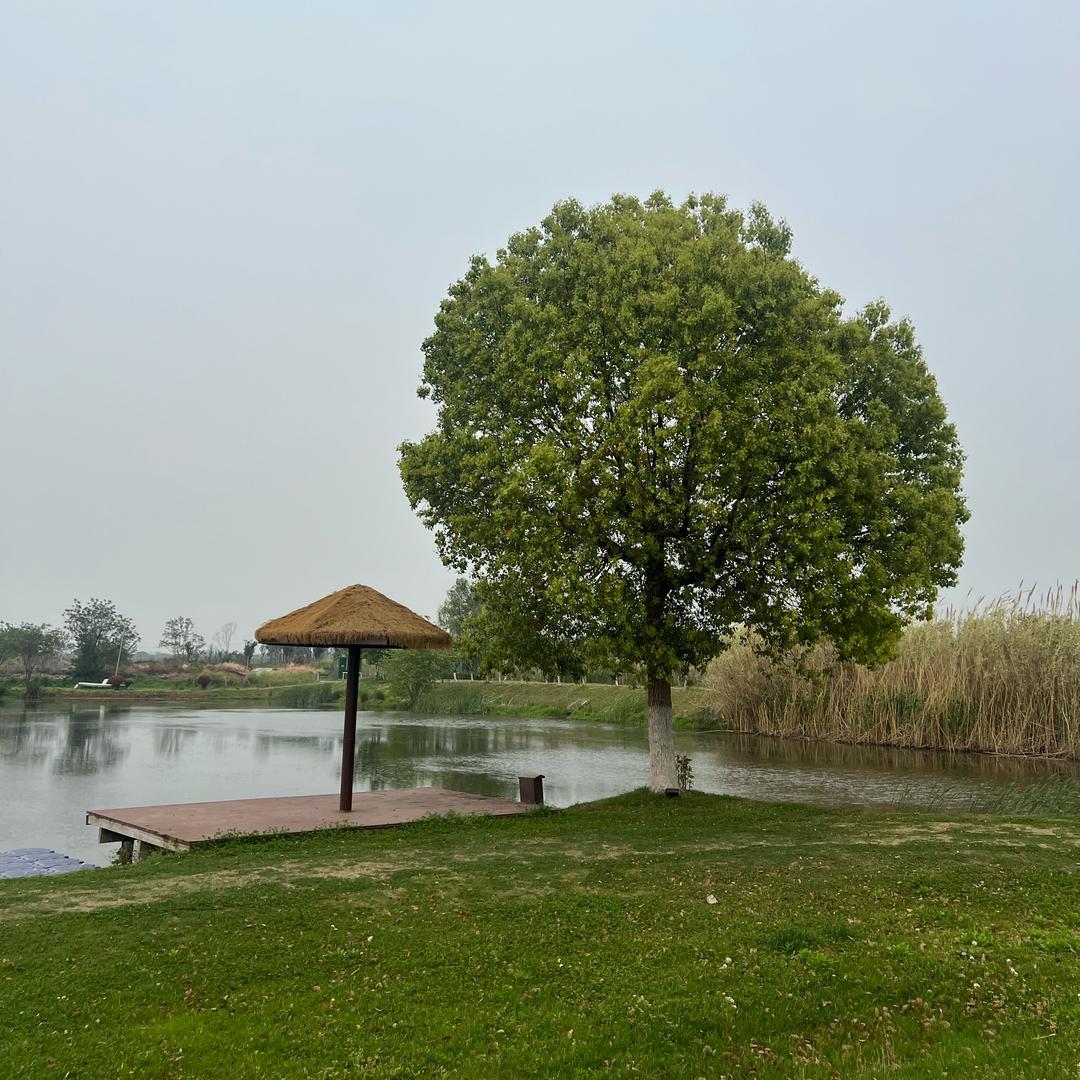 🇨🇳 Bill Lin 🇨🇳