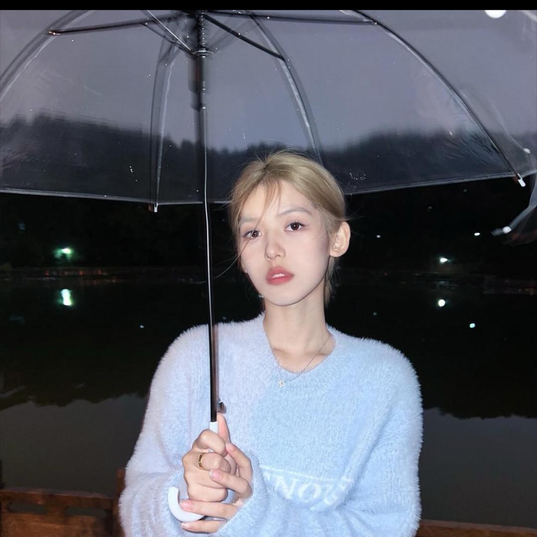 爱吃火鸡面的油头公主