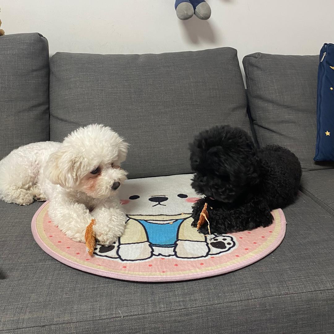 茉茉&黑逗