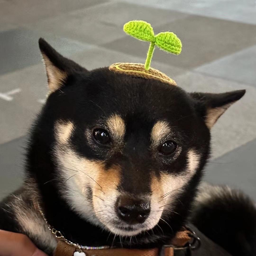 美丽人生