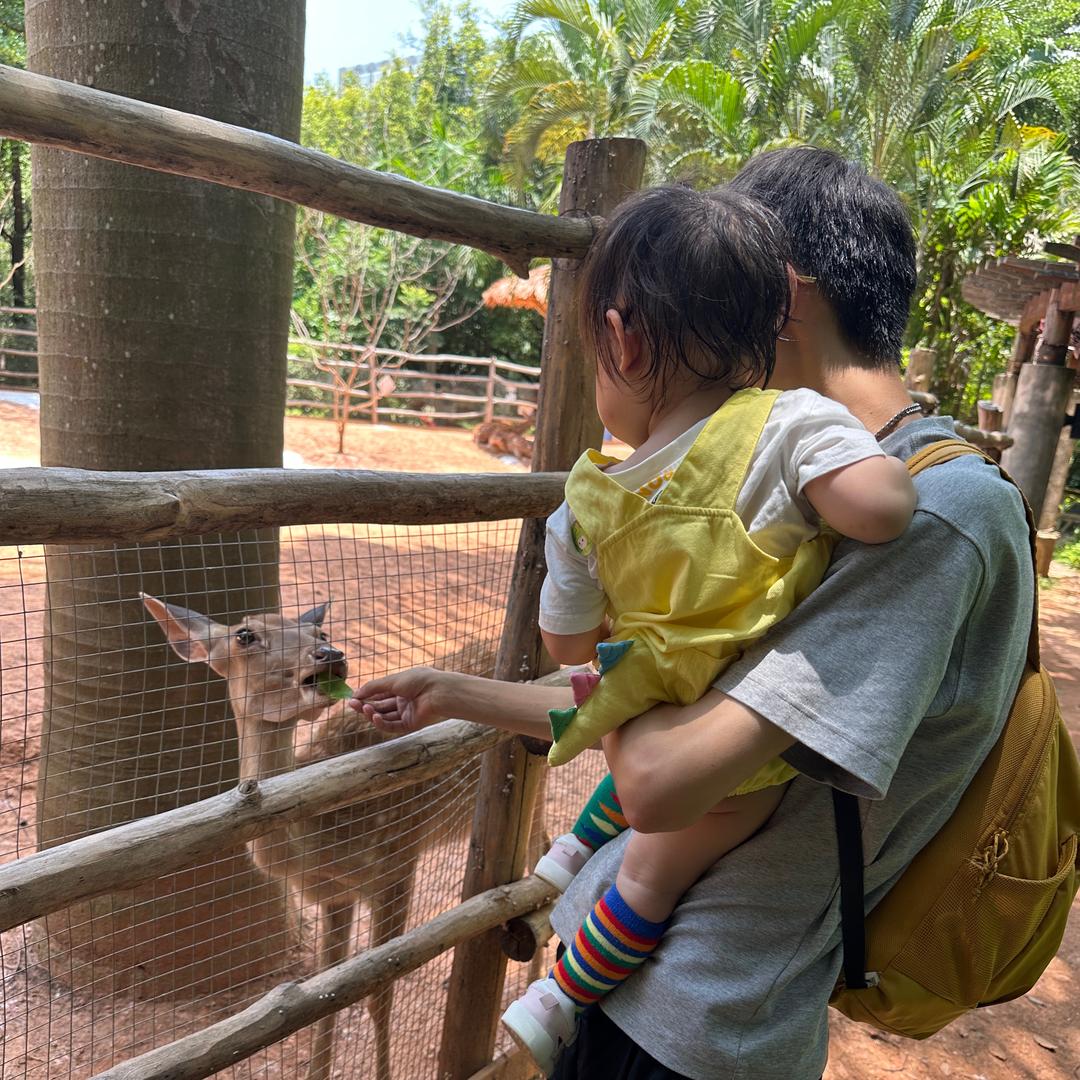 修手机的阿州（肉肉老爸）