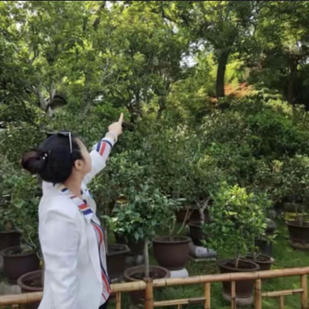 村姑姑甄选