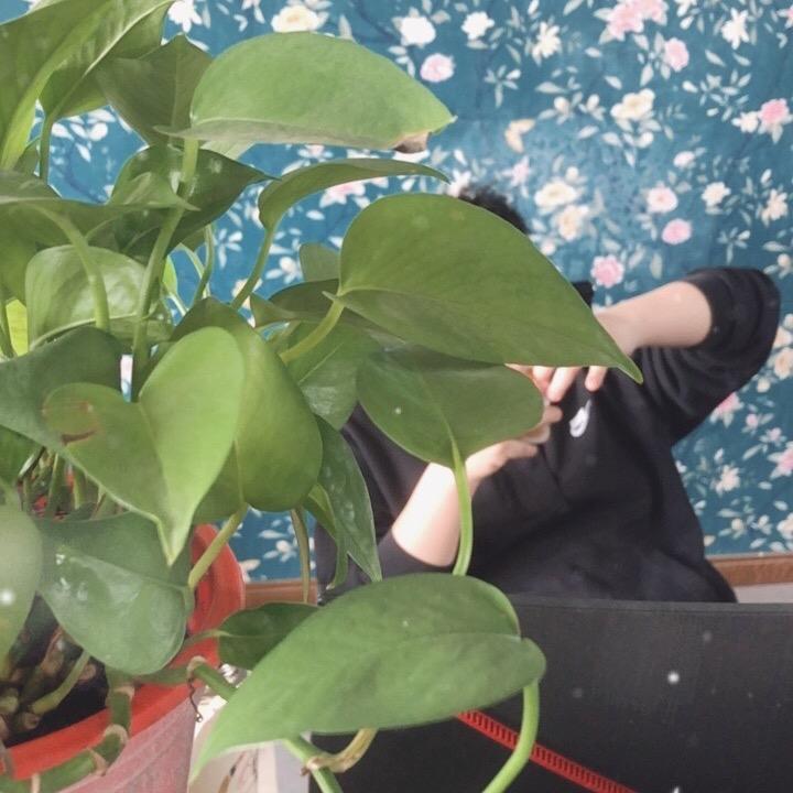 每一段分离都是好的开始