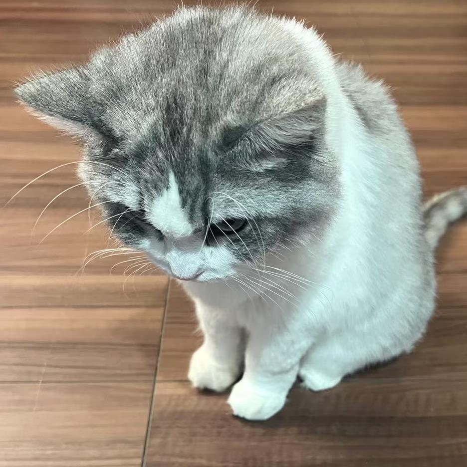 米饼