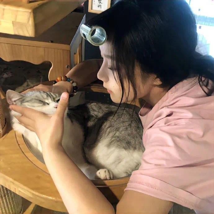 种个向日葵