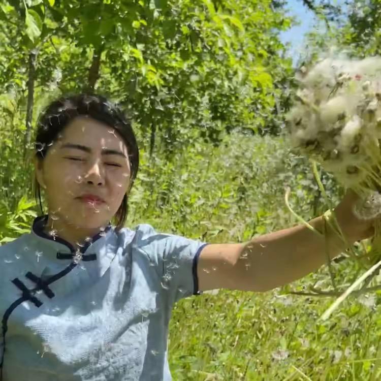 东北杨妹特产