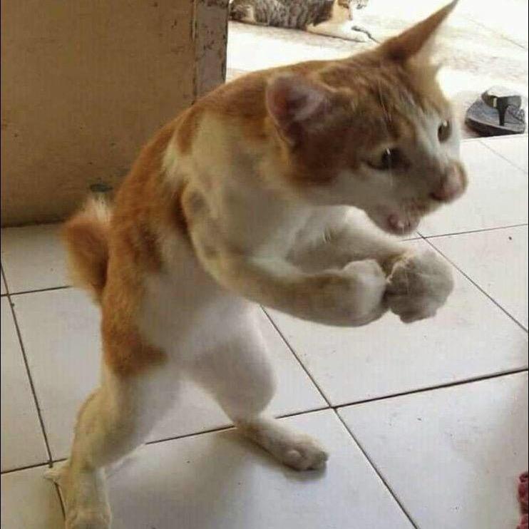 王彬沣