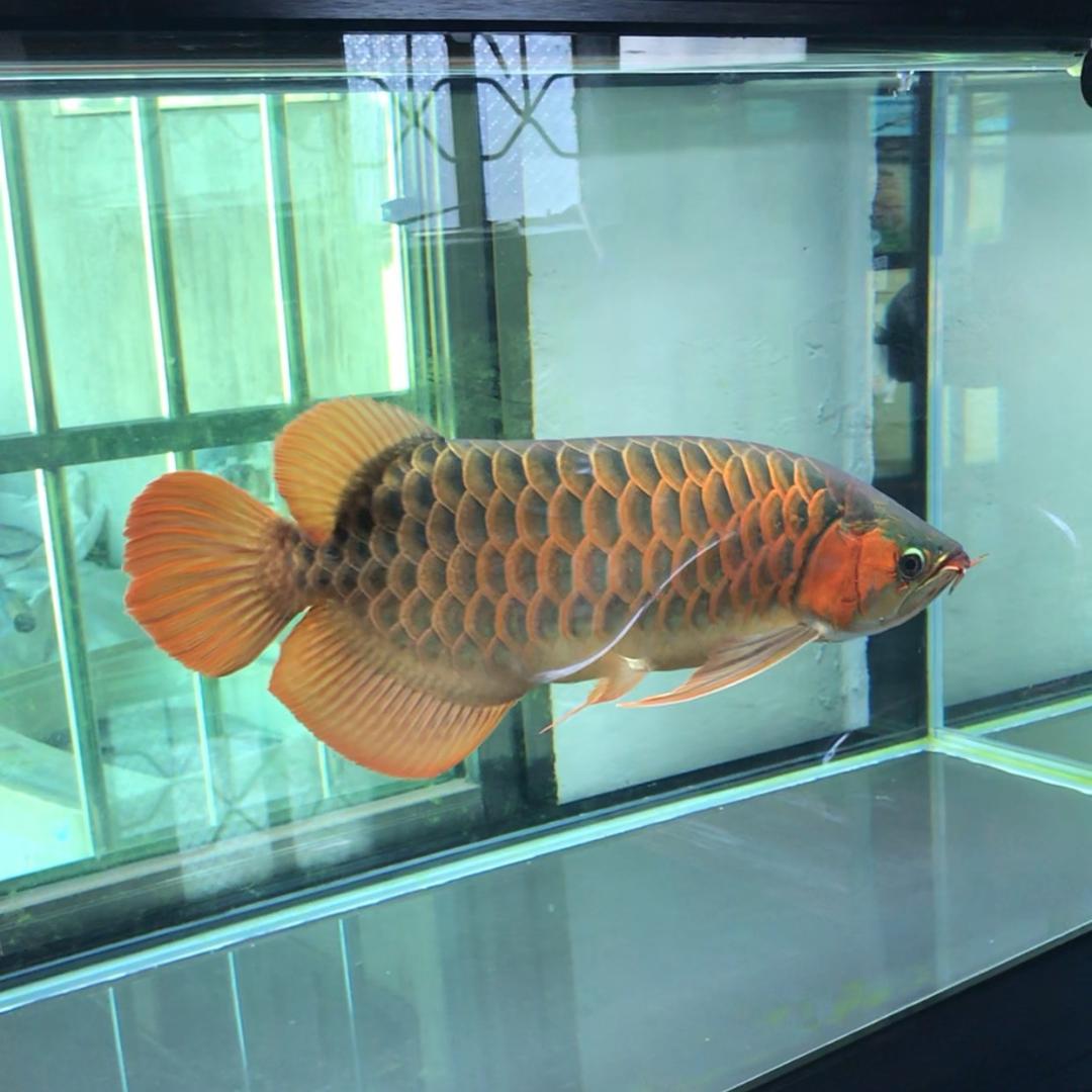 惠州永鑫电器维修