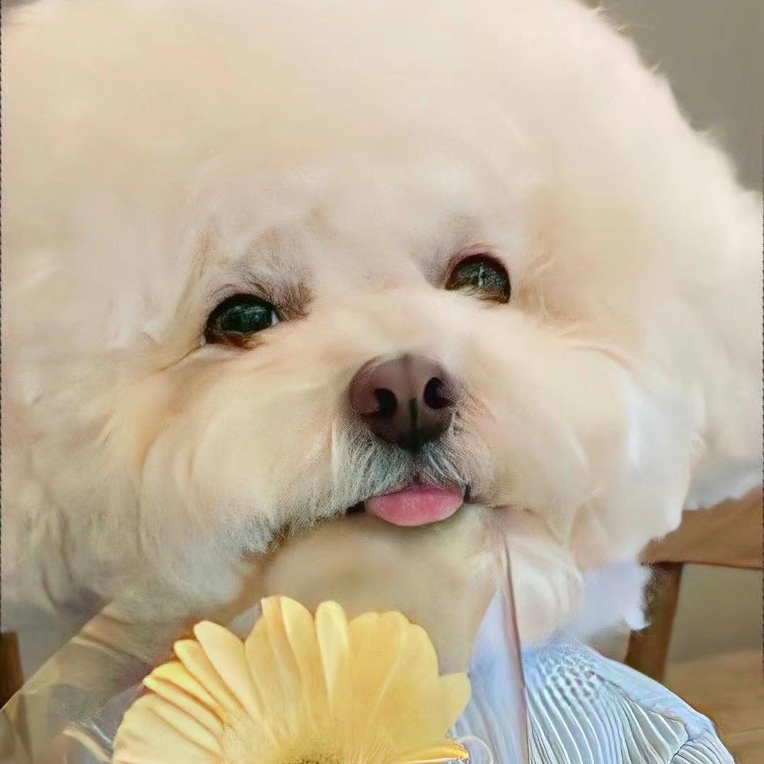 小会